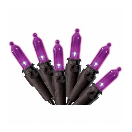 Bsc Preferred 100LT PURP LED Mini Set V34766-88
