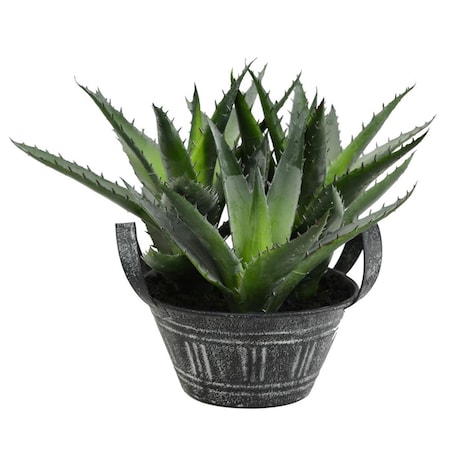 Dare2Decor 7.5 in. Green Succulent in Galvanized Pot DA3264502