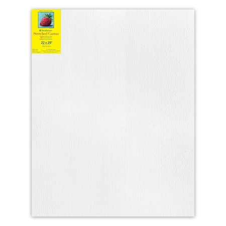 Strathmore 300 Series Traditional Stretched Canvas, 22x28 inch P313-22