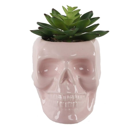 Flora Bunda 4.5X3.5 CERAMIC SUGAR SKULL SUCC, PK E PACK CS2358E-PK