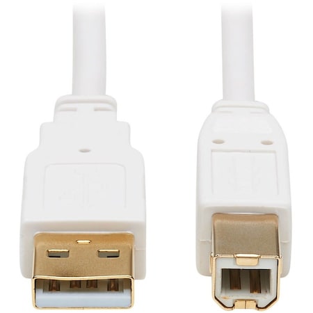 Eaton EATON USB 2.0 A To B Antibacterial Cable M/m, White, 10 Ft. 3.05 M U022AB-010-WH