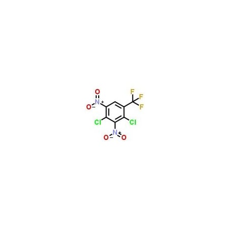 Ak Scientific 2, 4-Dichloro-3, 5-dinitrobenzotrifluoride (5g), CAS 29091-09-6 F571-5g