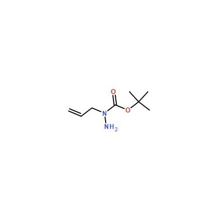 Ak Scientific tert-Butyl 1-allylhydrazinecarboxylate (1g), CAS 21075-86-5 Z4401-1g