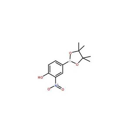 Ak Scientific 4-Hydroxy-3-nitrophenylboronic acid pinacol ester (10g), CAS 1072945-08-4 X1523-10g