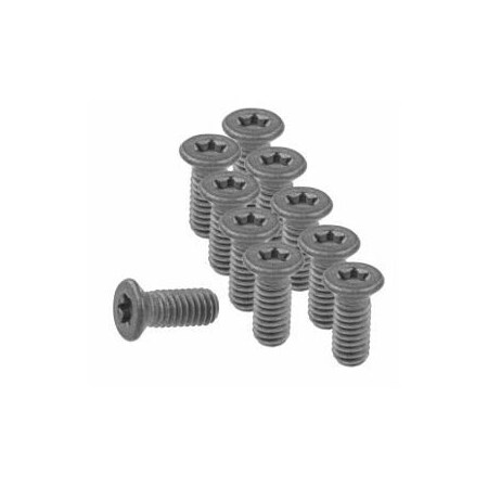 Garant Set of Insert Screws, 10 Pieces 219984