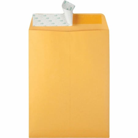 Quality Park Catalog Envelope, Lt Brown, Kraft, PK100 QUA44562
