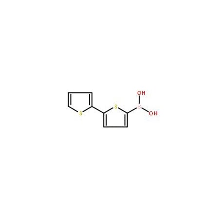 Ak Scientific 2, 2'-Bithiophene-5-boronic acid (1g), CAS 132898-95-4 X0515-1g