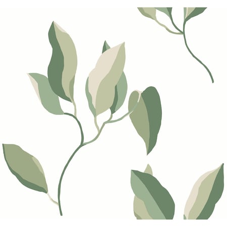 York Wallcoverings Brushwork Branches Leaf Green Wallpaper ZM2872