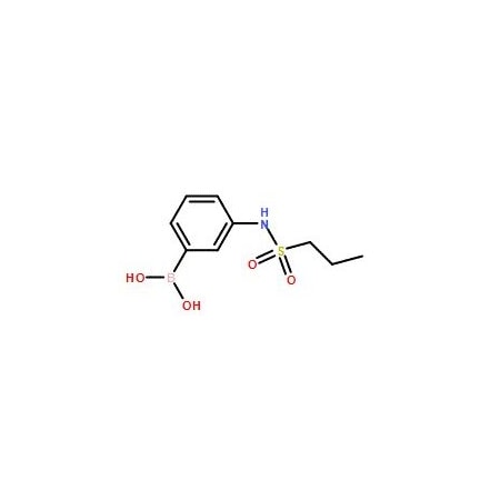 Ak Scientific 3-(Propylsulfonamido)phenylboronic acid (1g), CAS 1072945-64-2 X1526-1g