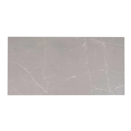 Apollo Tile Regalia 24x48 in. Ash Gray Matte Porcelain Marble-look Vein Large Tile (15.5 sq ft/case) 2PK APLVEL88CEN2448