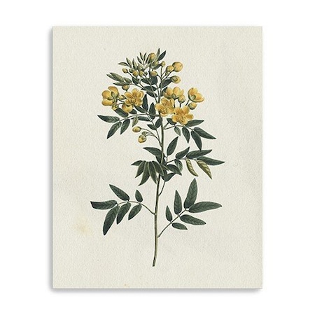 Homeroots Singular Yellow Blossom Branch Unframed Print Wall Art 399054