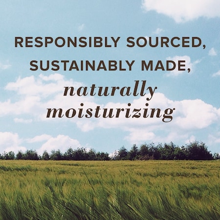 Burts Bees Super Fruit Pink Grapefruit Mango Coconut & Pear and Pomegranate Lip Balm, 4PK 2578