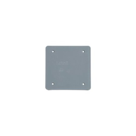 Abb Box Cover, 2 Gang, Non-Metallic, Blank Cover Type E9802CN-CAR