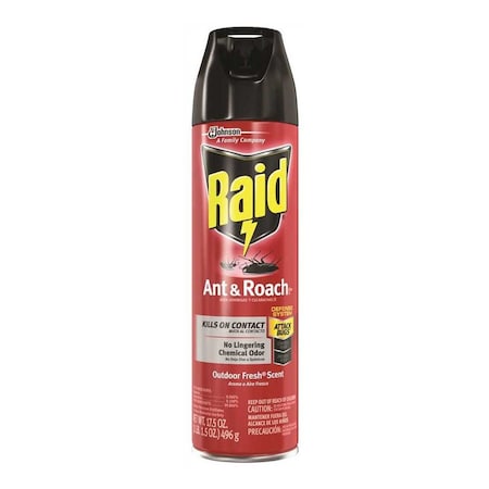 Raid 17.5 oz. Ready-to-Use Ant and Roach Killer Clear 617736