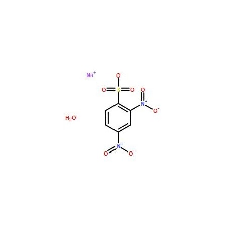 Ak Scientific Sodium 2, 4-dinitrobenzenesulfonate hydrate (5g), CAS 885-62-1 8971AL-5g