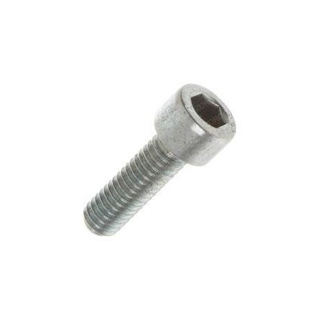 Hyster REPLACEMENT CAPSCREW 1581842