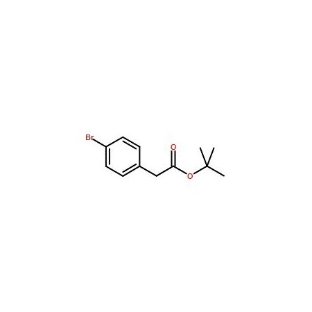 Ak Scientific tert-Butyl 2-(4-bromophenyl)acetate (1g), CAS 33155-58-7 7349AJ-1g