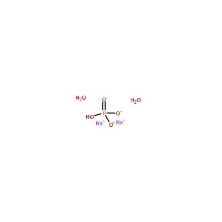 Ak Scientific Sodium phosphate dibasic dihydrate (500g), CAS 10028-24-7 5248AF-500g
