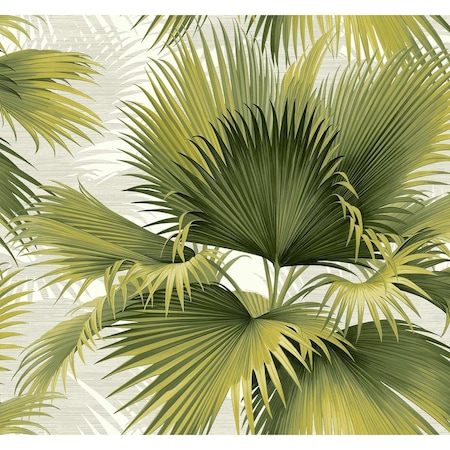A-Street Prints Summer Palm Green Tropical Wallpaper 2927-40114