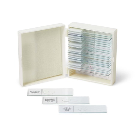 United Scientific Biology Prepared Slide Set of 20 SLD020