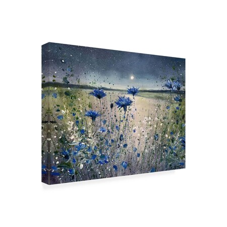 Trademark Fine Art Outdoor Canvas Art - Jennifer Taylor Art 'Cornflowers and The Moon No 1' Wall Art for Patios GRL00588-OC2432WR
