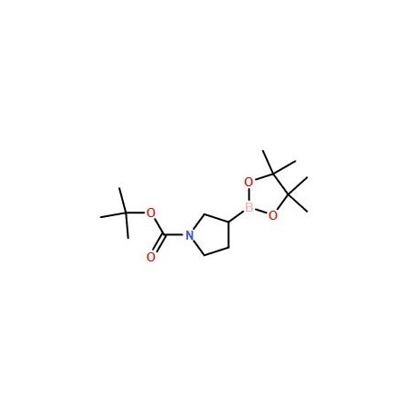 Ak Scientific 1-Boc-Pyrrolidine-3-boronic acid pinacol ester (250mg), CAS 1312712-22-3 Z9555-250mg