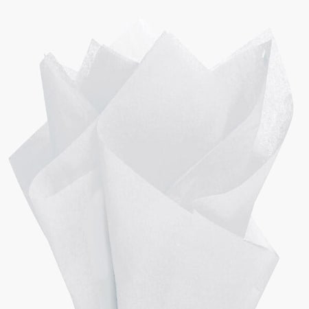 Nashville Wraps Mountain Mist Color Tissue Paper, 20x30", 480PK CT3MM