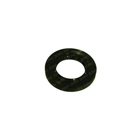 Raymond REPLACEMENT SEAL, OIL, PUMP 1034060-86