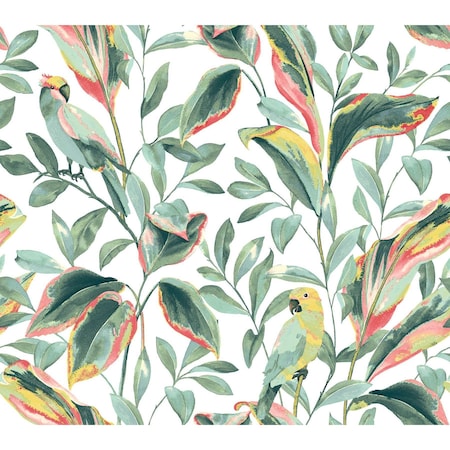 York Wallcoverings Tropical Love Birds White and Coral Wallpaper TC2653