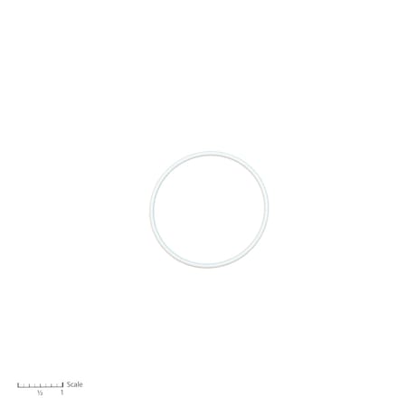 Bedford Precision Parts Teflon O-Ring Replacement for Graco 109499 15-2644