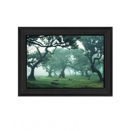 Homeroots Enchanted Forest II 3 Black Framed Print Wall Art 407843