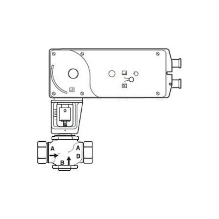 Schneider Electric 2WY SS VLV 220 IN LB LIN ACT VS-7263-593-4-62