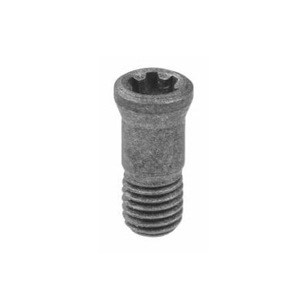 Garant Clamping Screw 219870