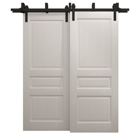 Sartodoors Sliding Closet Barn Bypass Doors 48 x 84 inches, Ego 5012 Painted White Oak, Modern 6.6ft Rails Ha EGO5012BBB-PWO-4884
