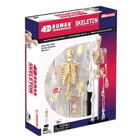 Tedco Toys 4D Human Anatomy Skeleton Model 26059