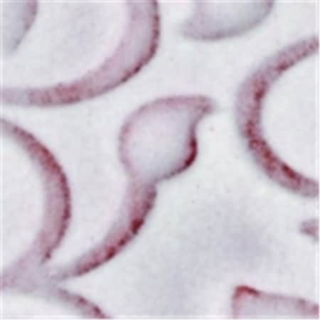 Amaco Low Fire  Opalescent Glaze - 1 Pint- Dusty Rose 400510