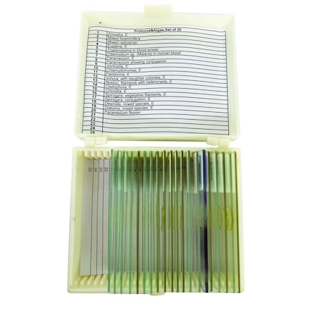 United Scientific Protozoa & Algae Slide Set Set Of 20 UNSLPRAL20