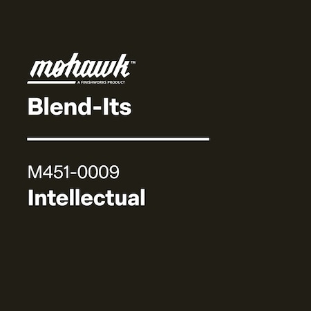 Finishworks Mohawk Blend-It Intellectual .5 Oz M451-0009