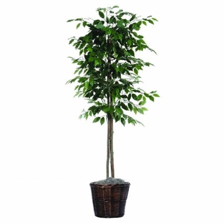 Dare2Decor 6 ft. Ficus tree DA140414