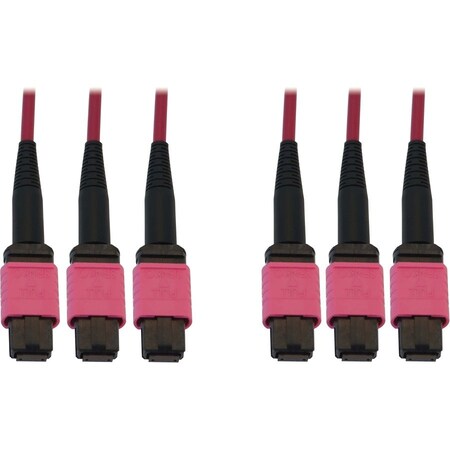 Eaton Tripp Lite Series 40/100/400G Multimode 50/125 OM4 Fiber Optic Cable 3x8F MTP/MPO-PC F/F, N858B-45M-3X8MG