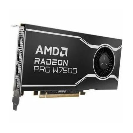 Advanced Micro AMD RADEON PRO W7500 8GB RETAIL 100-300000078