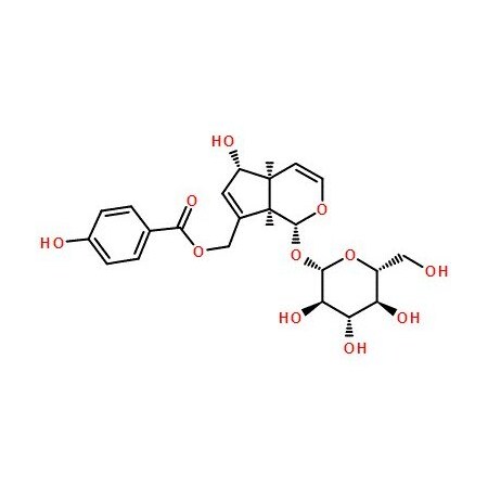 Ak Scientific Agnuside, tech. (5mg), CAS 11027-63-7 V1586-5mg