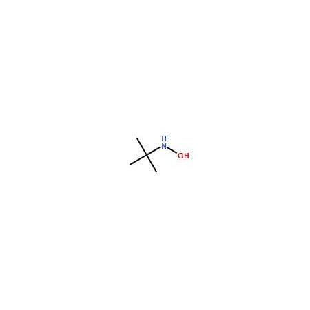 Ak Scientific N-(Tert-butyl)hydroxylamine (1g), CAS 16649-50-6 3667AL-1g