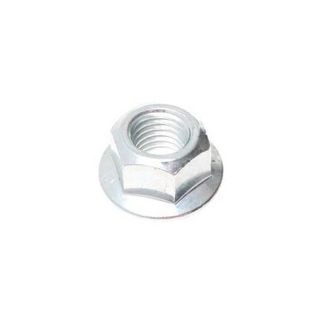 Raymond REPLACEMENT NUT, FLANGE, TOP LOCK 1169843-005