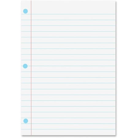 Ashley Productions Magnetic Notebook Page, 8-1/2in x 11in, 6PK 10128