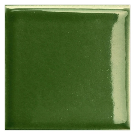 Apollo Tile 2x2 in. Glossy Deep Forest Green Porcelain Square Wall and Floor Tile 0.86 sq ft/case, 50PK UMB88VERPIXA