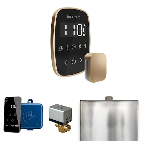 Mr. Steam Steam Shower Control Package with TempoFlex Control and Steamhead in Black Brushed Bronze MSBUTLER1SQ-BB