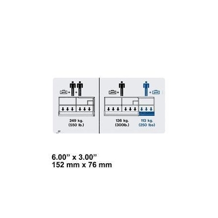 Skyjack REPLACEMENT DECAL, PLATFORM CAP 550LBS 132712AA