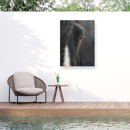 Trademark Fine Art Outdoor Canvas Art David Stribbling horse portrait Wall Art for Patios, or Gardens GRL01587-OC3547WR