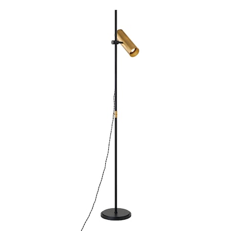 Troy Lighting Colin King X Quinn 1 Light Floor Lamp 9.75 In. Patina Brass PFL9665-PBR/SBK